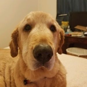 Meet your Posher, Sheri